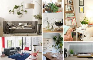 Why You Should Decorate With Houseplants
