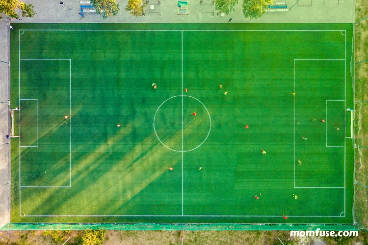 Aerial view of soccer field.