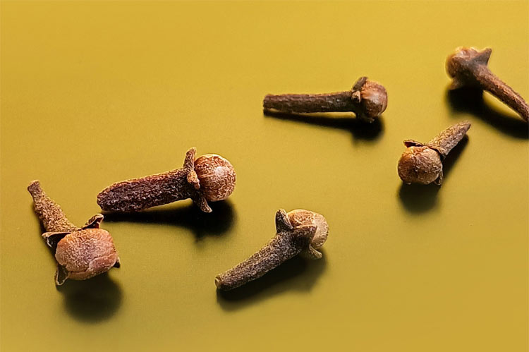 Cloves
