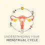 An eye-catching and professional thumbnail for an article on menstrual cycles.