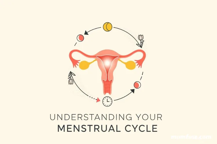 An eye-catching and professional thumbnail for an article on menstrual cycles.