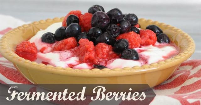 Fermented Honey Berries