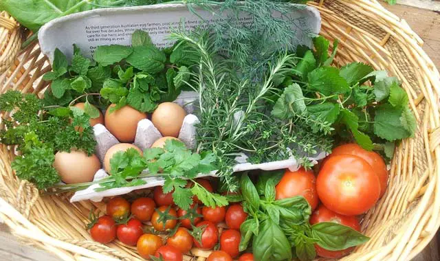 Garden for Effective Weight Loss