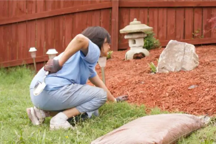 Injuries When Gardening