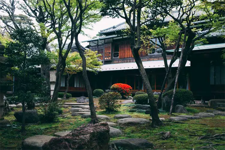 Low-Maintenance-Landscaping