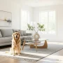 Bright, clean modern home interior with a happy dog sitting calmly.