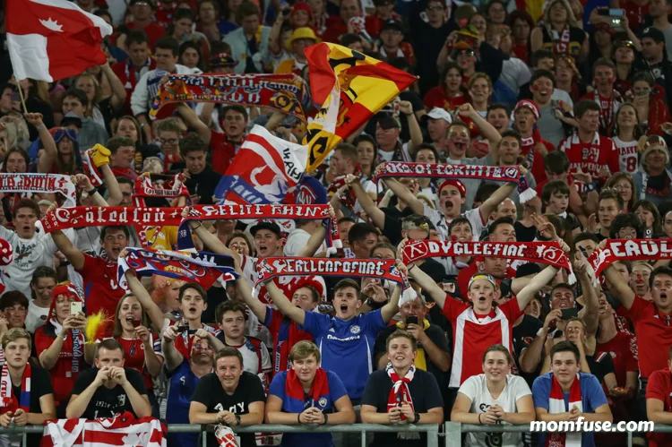 A vibrant crowd cheering at a sports event.