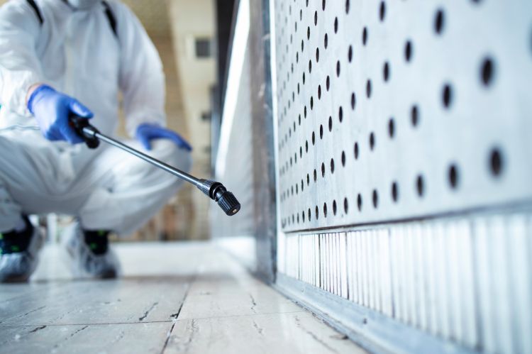 Address Pest Infestations
