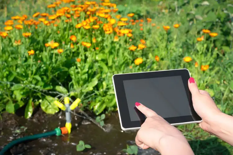 Install Smart Watering Systems
