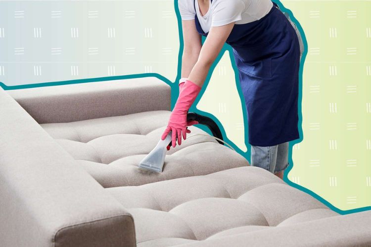 Professional Couch Cleaning