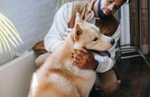 You Can Now Find a Free Place to Stay! Trusted House Sitters Make Vacations Easy for Pet Lovers