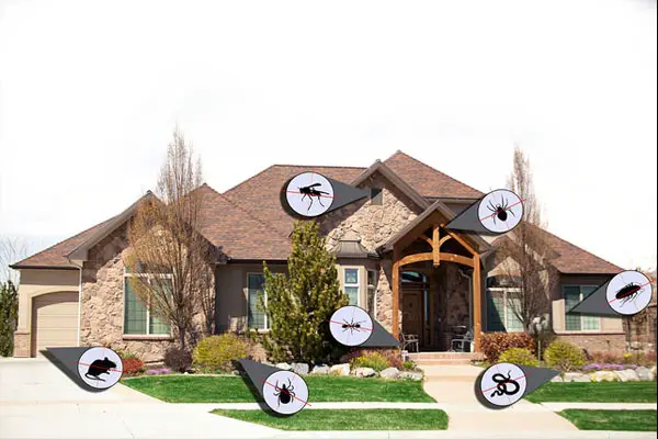 pest-control